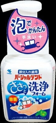 小林製薬 パーシャルデント　洗浄フォーム ２５０ｇ×24個【送料無料】【オーラル】【歯磨き】【歯ブラシ】