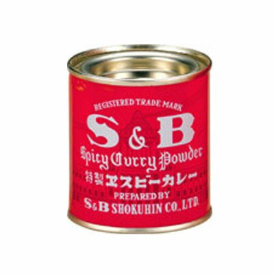 カレー粉３７ｇ ×100個【送料無料】