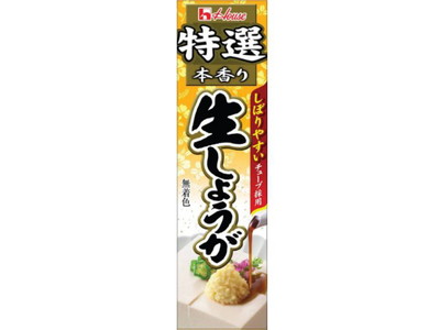 ハウス食品 特選本香り生しょうが４０ｇ ×120個【送料無料】