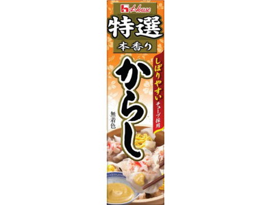 ハウス食品 特選本香りからし４２ｇ ×120個【送料無料】