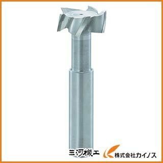 FKD Tスロットエンドミル25×15 TSE25X15の通販は