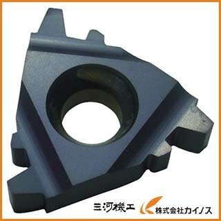 NOGA カーメックスねじ切り用チップ 16IR2TRBMA （10個）の通販は