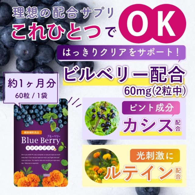 ブルーベリー サプリ ビルベリー ルテイン アントシアニン カシス アスタキサンチン 目 眼 1年分 富山の製薬会社 渡邊薬品 自社国内製造 Made in Japan_3