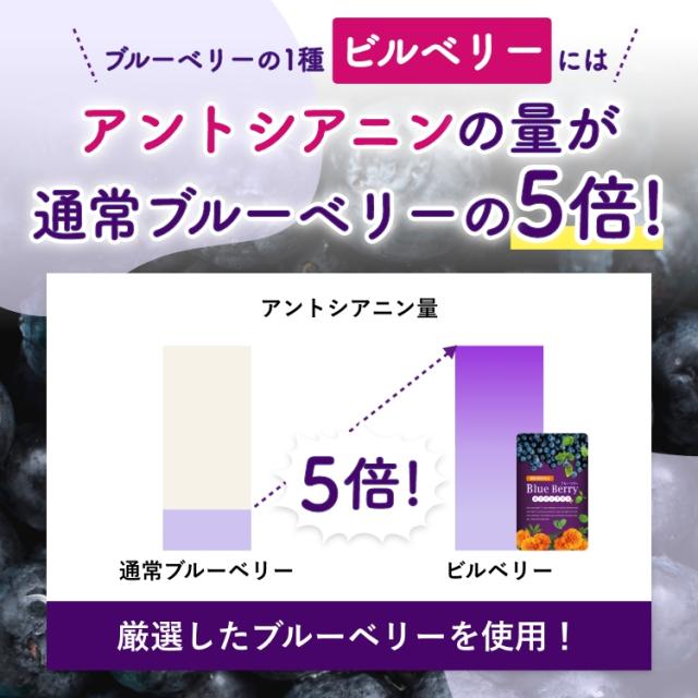 ブルーベリー サプリ ビルベリー ルテイン アントシアニン カシス アスタキサンチン 目 眼 1年分 富山の製薬会社 渡邊薬品 自社国内製造 Made in Japan_4