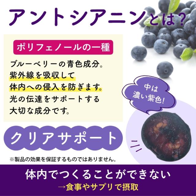 ブルーベリー サプリ ビルベリー ルテイン アントシアニン カシス アスタキサンチン 目 眼 1年分 富山の製薬会社 渡邊薬品 自社国内製造 Made in Japan_5