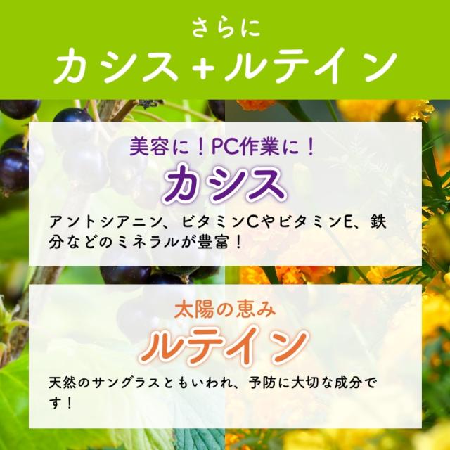 ブルーベリー サプリ ビルベリー ルテイン アントシアニン カシス アスタキサンチン 目 眼 1年分 富山の製薬会社 渡邊薬品 自社国内製造 Made in Japan_6
