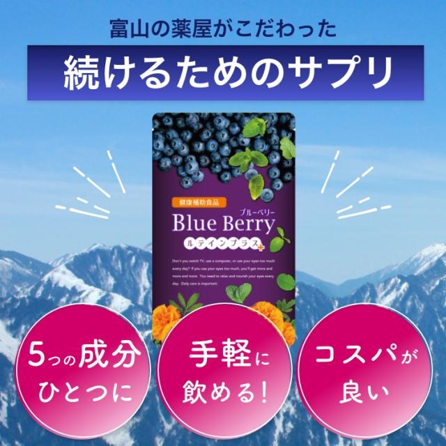 ブルーベリー サプリ ビルベリー ルテイン アントシアニン カシス アスタキサンチン 目 眼 1年分 富山の製薬会社 渡邊薬品 自社国内製造 Made in Japan_8
