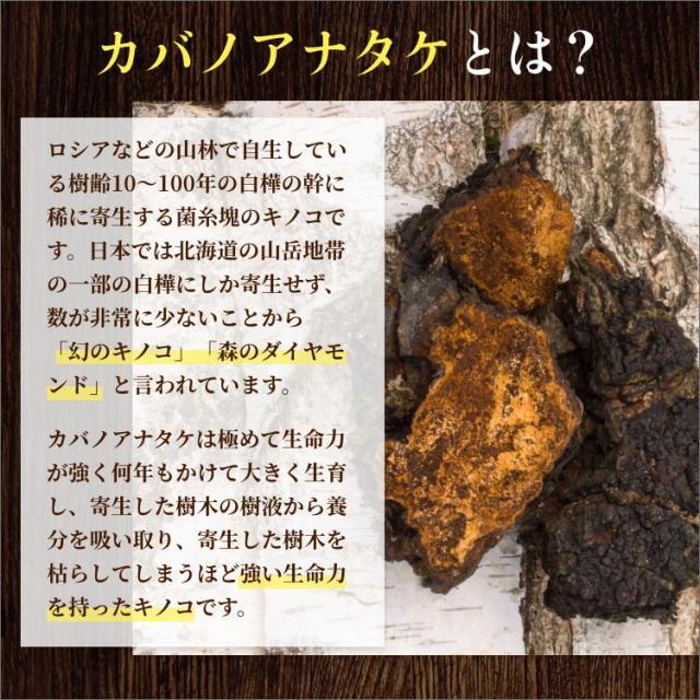 チャーガ 錠剤 β-グルカン SOD酵素 カバノアナタケ サプリメント 120粒入×3本 カバノアナタケ 高品質 純粋 100% チャガパワー 富山の製薬会社 渡邊薬品 自社国内製造 Made in Japan_2