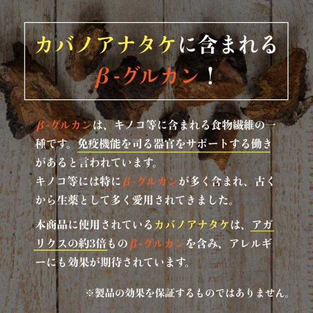 チャーガ 錠剤 β-グルカン SOD酵素 カバノアナタケ サプリメント 120粒入×3本 カバノアナタケ 高品質 純粋 100% チャガパワー 富山の製薬会社 渡邊薬品 自社国内製造 Made in Japan_5
