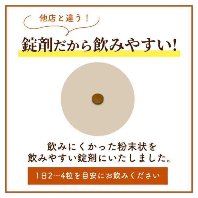 チャーガ 錠剤 β-グルカン SOD酵素 カバノアナタケ サプリメント 120粒入×3本 カバノアナタケ 高品質 純粋 100% チャガパワー 富山の製薬会社 渡邊薬品 自社国内製造 Made in Japan_6
