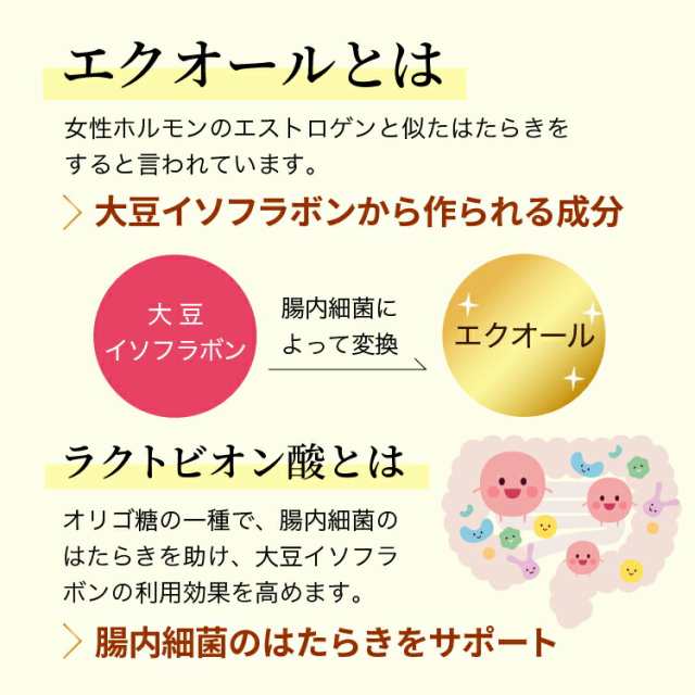 クーポン配布】 エクオール サプリ 公式 渡邊薬品 サプリメント 大豆