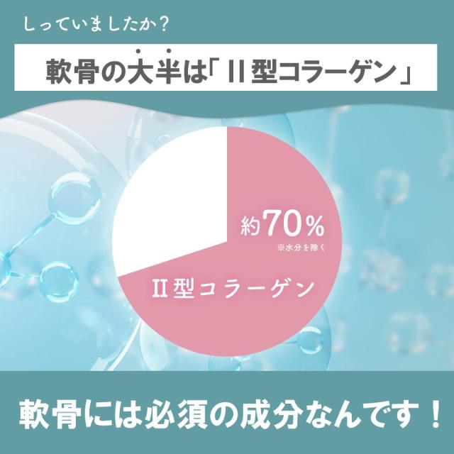 きときとげんき 非変性？型コラーゲン UC-2 UC-II? サプリ 膝 腰 関節 コラーゲン グルコサミン サプリメント 1年分 富山の製薬会社 渡邊薬品 自社国内製造 Made in Japan_1