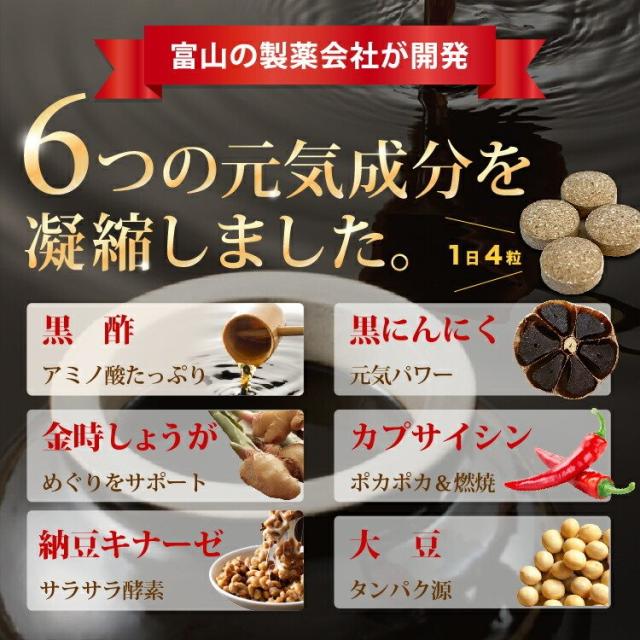 黒酢 金時ショウガ 黒ニンニク 納豆菌 納豆キナーゼ サプリメント 120粒入×12袋 1年分 カプサイシン すっぽん にんにく ニンニク お酢 アミノ酸 もろみ ナットウキナーゼ 富山の製薬会社 渡邊薬品 自社国内製造 Made in Japan_1