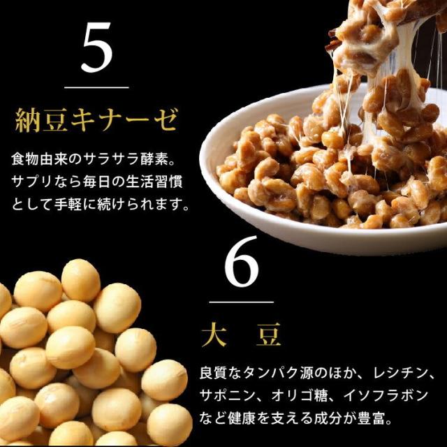 黒酢 金時ショウガ 黒ニンニク 納豆菌 納豆キナーゼ サプリメント 120粒入×12袋 1年分 カプサイシン すっぽん にんにく ニンニク お酢 アミノ酸 もろみ ナットウキナーゼ 富山の製薬会社 渡邊薬品 自社国内製造 Made in Japan_5