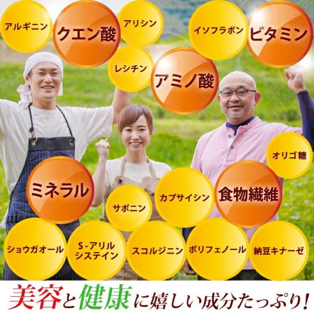 黒酢 金時ショウガ 黒ニンニク 納豆菌 納豆キナーゼ サプリメント 120粒入×12袋 1年分 カプサイシン すっぽん にんにく ニンニク お酢 アミノ酸 もろみ ナットウキナーゼ 富山の製薬会社 渡邊薬品 自社国内製造 Made in Japan_6