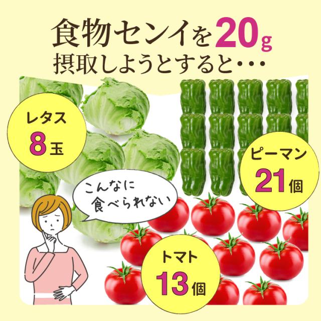 難消化性 デキストリン パウダー 520g×12袋 食物繊維 サプリメント 水溶性 粉末 パウダー 野菜 健康食品 野菜不足 富山の製薬会社 渡邊薬品 自社国内製造 Made in Japan_4