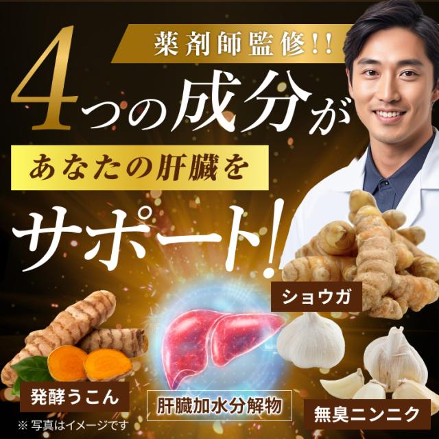 発酵うこん サプリ 肝臓加水分解物 1年分 肝臓エキス 飲み会サプリ ウコン 春ウコン ニンニク 日本製 自社製造_1