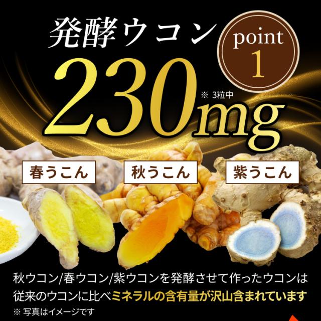 発酵うこん サプリ 肝臓加水分解物 1年分 肝臓エキス 飲み会サプリ ウコン 春ウコン ニンニク 日本製 自社製造_2