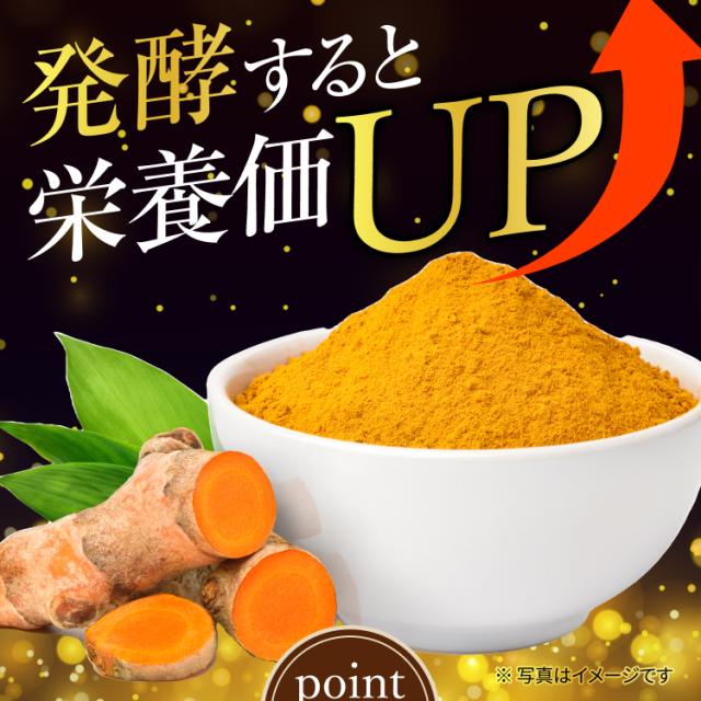 発酵うこん サプリ 肝臓加水分解物 1年分 肝臓エキス 飲み会サプリ ウコン 春ウコン ニンニク 日本製 自社製造_3
