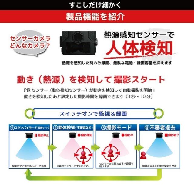 送料無料 防犯カメラ 屋外 ソーラーパネル 4K高画質 家庭用 小型 かんたんセット 工事不要 電源不要 ワイヤレス トレイルカメラ 監視カメラ 電池式 防水防塵 赤外線 暗視 駐車場 車庫 車上荒らし 野外 動物 獣害 microSDカード 自動録画 配線不要_14
