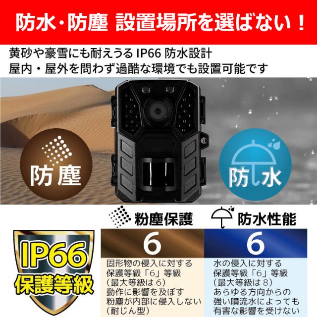 防犯カメラ トレイルカメラ 屋外 小型 家庭用 電源不要 工事不要 電池式 単三電池4本で最長12ヶ月駆動 監視 野外 ソーラー充電 防水防塵 赤外線 動体検知 人感センサー 暗視 自動録画 自宅 庭 配線不要_3