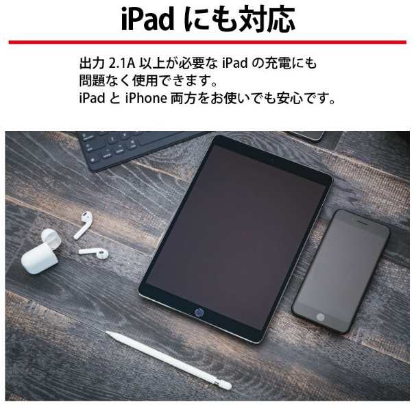 送料無料 ライトニングケーブル USB Type C iPhone Lightning 充電