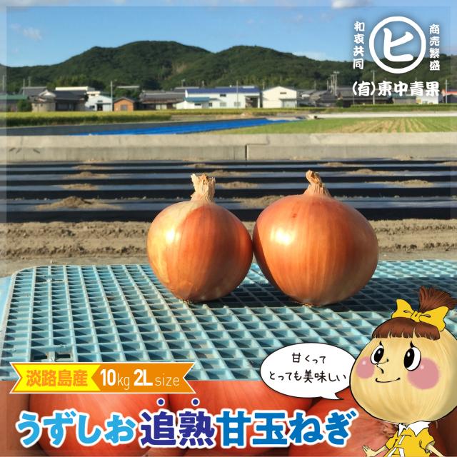 淡路島産玉ねぎ【うずしお追熟甘玉ねぎ　2L　10kg】東中青果の通販は