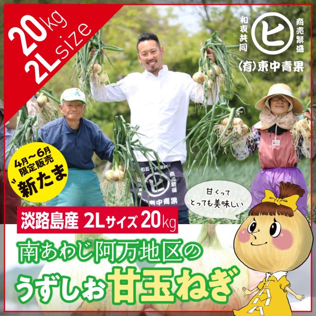 淡路島産 玉ねぎ【うずしお甘玉ねぎ　2L　20kg】東中青果 うずしおファーム