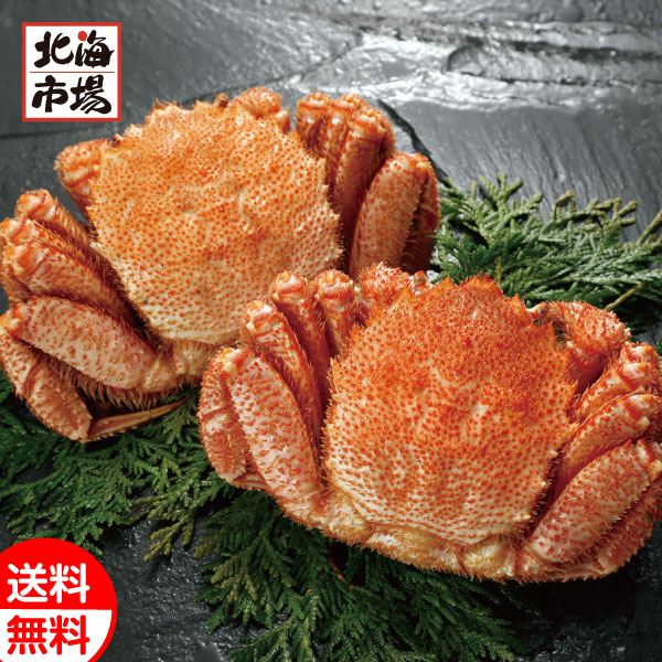 北海道産 毛がに姿2尾(400g×2) 送料無料 毛ガニ 毛蟹 北海道 海産ギフト 贈り物 お返し 誕生日 内祝 御供 卒業 入学 お祝い 御礼 ホワイトデー プレゼントの通販は