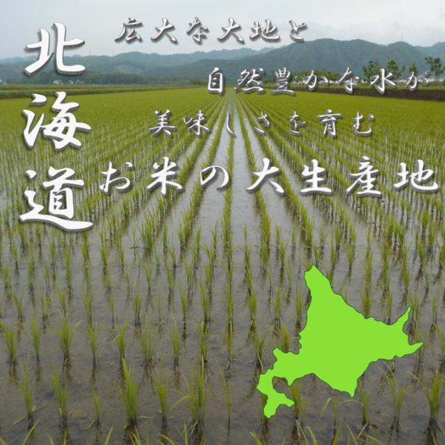 米 お米 特別価格 令和3年産 特aランク 令和3年 北海道 ゆめぴりか 5kg 4袋 合計 kgの通販はau Pay マーケット ヤマイチshop