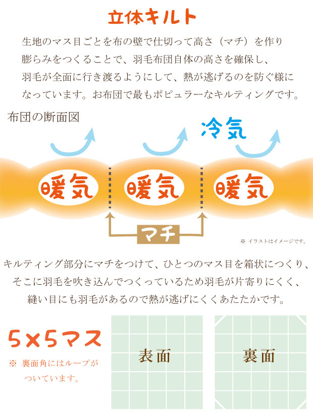 【高品質マザーグース93％】ダウンケット 夏用 羽毛布団 ハンガリー産ホワイトマザーグースダウン93％ 0.7kg入り クイーンロング 210×210cm ロイヤルゴールドラベル DP420以上 綿100％ 日本製 富士山の麓 甲州 羽毛ふとん 肌布団 肌掛け 抗菌防臭加工無料