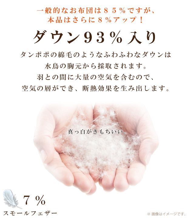 【高品質マザーグース93％】ダウンケット 夏用 羽毛布団 ハンガリー産ホワイトマザーグースダウン93％ 0.7kg入り クイーンロング 210×210cm ロイヤルゴールドラベル DP420以上 綿100％ 日本製 富士山の麓 甲州 羽毛ふとん 肌布団 肌掛け 抗菌防臭加工無料