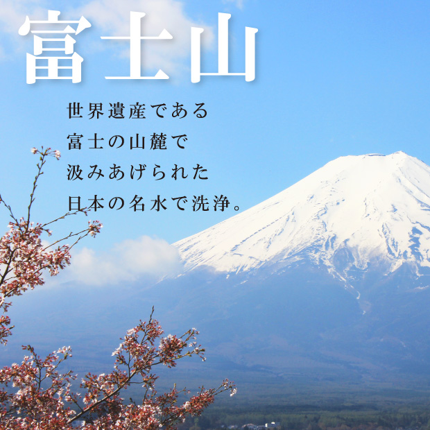【高品質マザーグース93％】ダウンケット 夏用 羽毛布団 ハンガリー産ホワイトマザーグースダウン93％ 0.7kg入り クイーンロング 210×210cm ロイヤルゴールドラベル DP420以上 綿100％ 日本製 富士山の麓 甲州 羽毛ふとん 肌布団 肌掛け 抗菌防臭加工無料