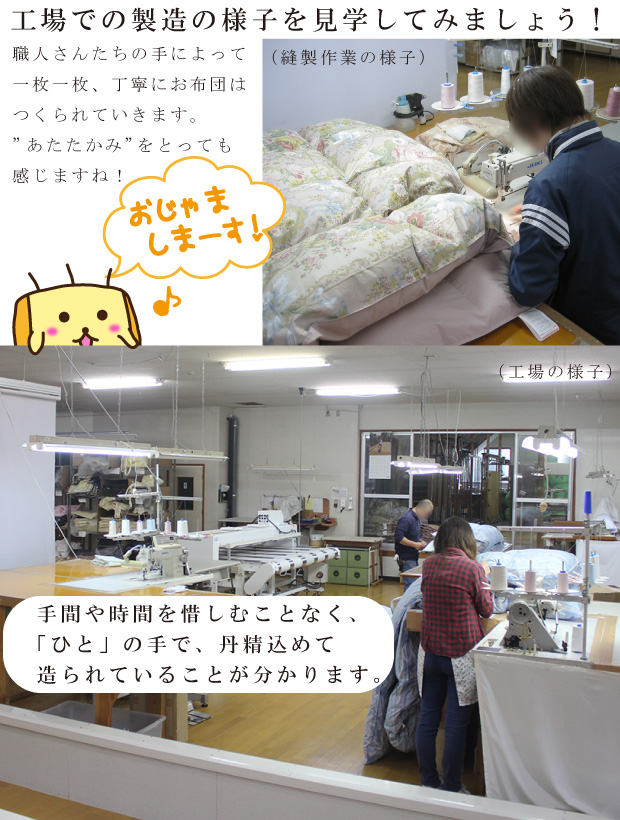 【高品質マザーグース93％】ダウンケット 夏用 羽毛布団 ハンガリー産ホワイトマザーグースダウン93％ 0.7kg入り クイーンロング 210×210cm ロイヤルゴールドラベル DP420以上 綿100％ 日本製 富士山の麓 甲州 羽毛ふとん 肌布団 肌掛け 抗菌防臭加工無料