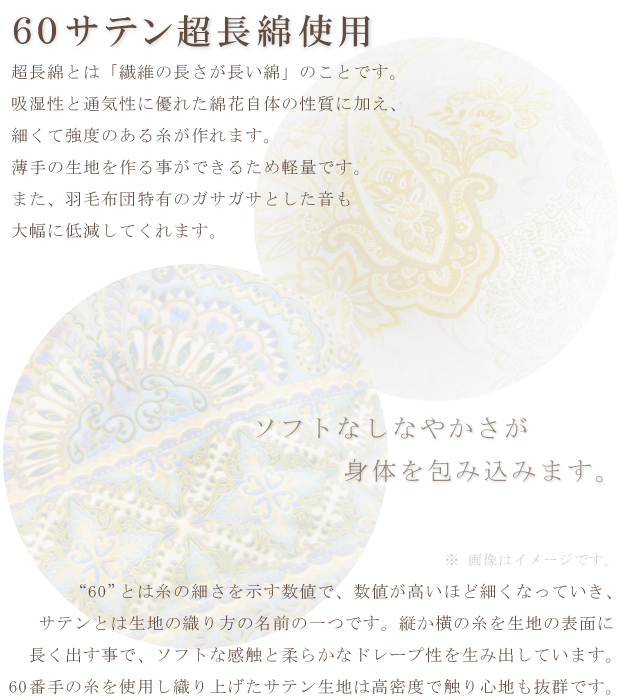 【高品質マザーグース93％】ダウンケット 夏用 羽毛布団 ハンガリー産ホワイトマザーグースダウン93％ 0.7kg入り クイーンロング 210×210cm ロイヤルゴールドラベル DP420以上 綿100％ 日本製 富士山の麓 甲州 羽毛ふとん 肌布団 肌掛け 抗菌防臭加工無料