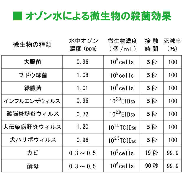 【高品質マザーグース93％】ダウンケット 夏用 羽毛布団 ハンガリー産ホワイトマザーグースダウン93％ 0.7kg入り クイーンロング 210×210cm ロイヤルゴールドラベル DP420以上 綿100％ 日本製 富士山の麓 甲州 羽毛ふとん 肌布団 肌掛け 抗菌防臭加工無料