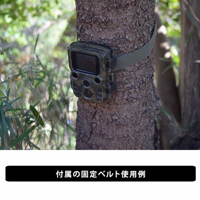 赤外線無人カメラ 防犯カメラ サイトロンジャパン STR-MiNi300 ブラック IP65 防水 夜間撮影 電池式 自動録画  2.0インチ液晶の通販はau PAY マーケット - セレクトショップ テレマルシェ au PAY マーケット店 | au PAY  マーケット－通販サイト