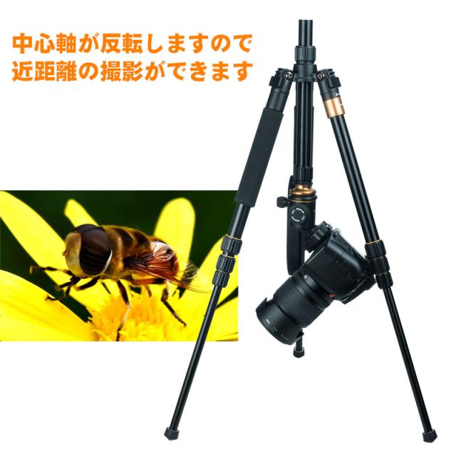 アルミ製カメラ三脚 自由雲台付き コンパクト Amazon | SmallRig 三脚 一眼レフ 三脚 コンパクト アルミ 360