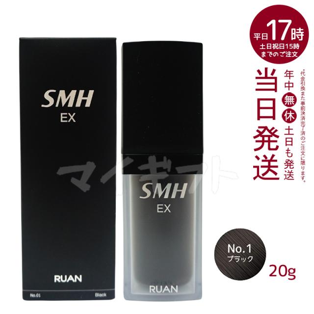 ルアン スーパーミリオンヘアーEX 20g No.1 ブラック 男女兼用 薄毛隠し 白髪隠し 女性用 薄毛 形脱毛症 対策 頭皮 分け目 生え際