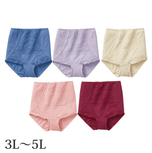 骨盤美人シェイプパンツ 5色組 3L 4L 5L ショーツ パンツ 綿混 骨盤 レディース 婦人服 ミセス シニア 女性 パワーネット 補正下着 補正インナー プル— パープル ベージュ ピンク ボルドー 下着 肌着 ファッション 50代 60代 70代 80代 母の日 お母さん　fri　p26248