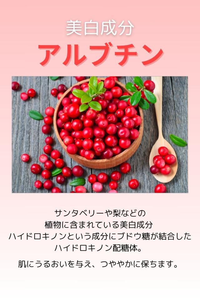 正規品販売店】DM CELL B.T.X.エッセンジット5% 100ml BTX