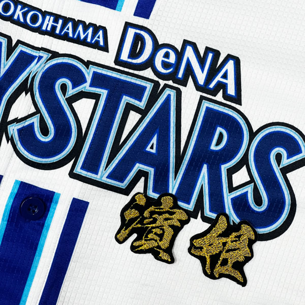 ☆送料無料☆横浜 DeNA ベイスターズ 濱姫 毛筆mini 応援 刺繍 