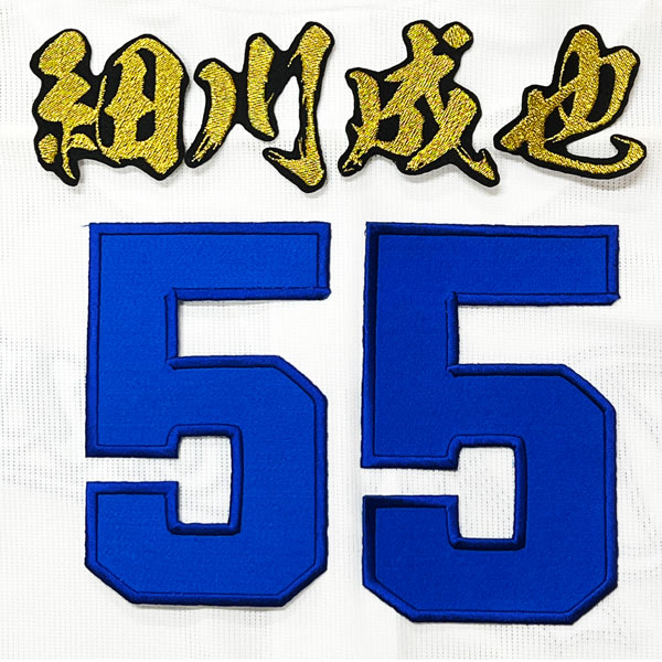 ☆送料無料☆中日 ドラゴンズ 細川成也 背番号 & 毛筆 ホーム 刺繍