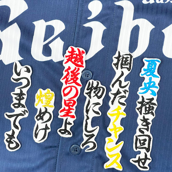 ☆送料無料☆埼玉 西武 ライオンズ 滝澤夏央 応援歌 白 応援 刺繍