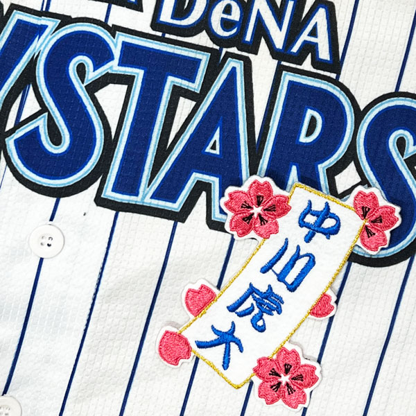 ☆送料無料☆横浜 DeNA ベイスターズ 中川虎大 短冊 応援 刺繍