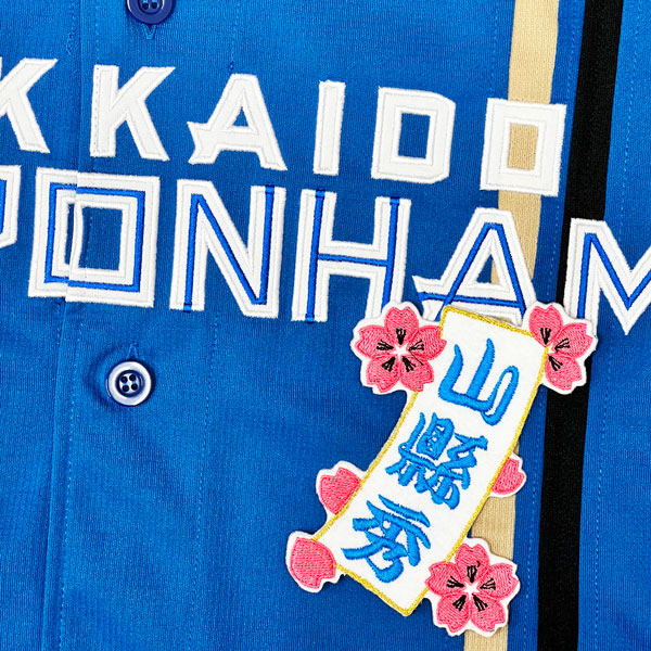 ☆送料無料☆北海道 日本ハム ファイターズ 日ハム 山縣秀 短冊 刺繍