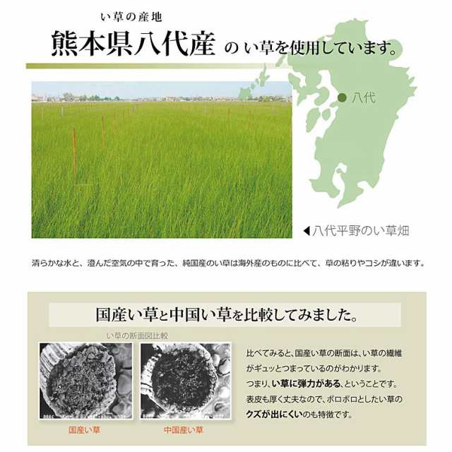 純国産 い草 上敷き カーペット 市松織 『不知火』 江戸間6畳(約261×352cm） 熊本県八代産イ草使用の通販は