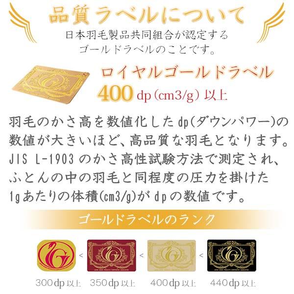 肌掛け 羽毛布団 ダウンケット キング ポーランド産 ダック ダウン 93 