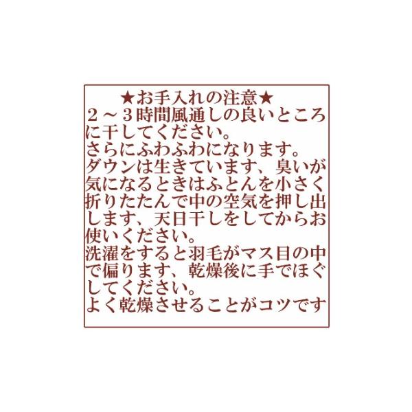 肌掛け 羽毛布団 ダウンケット シングル 丸洗い 洗濯機可能 ダウン70％ オールシーズン 春 夏 秋 ペイズリー柄 同柄カバー付き ポイント利用_8
