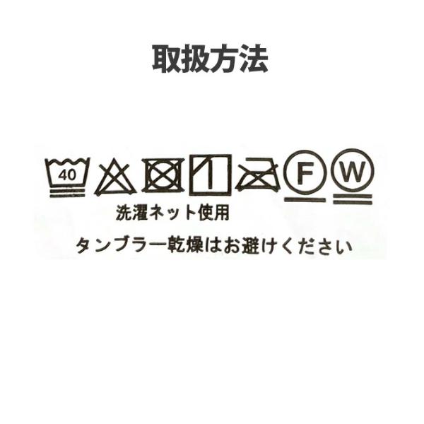 肌掛け 羽毛布団 ダウンケット シングル 丸洗い 洗濯機可能 ダウン70％ オールシーズン 春 夏 秋 ペイズリー柄 同柄カバー付き ポイント利用_9